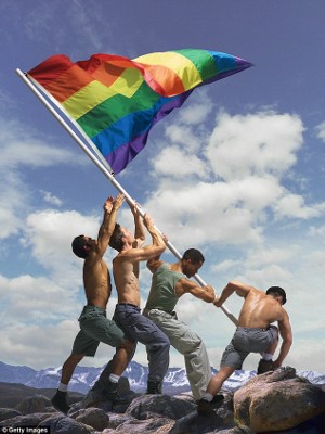 gay flag boys web